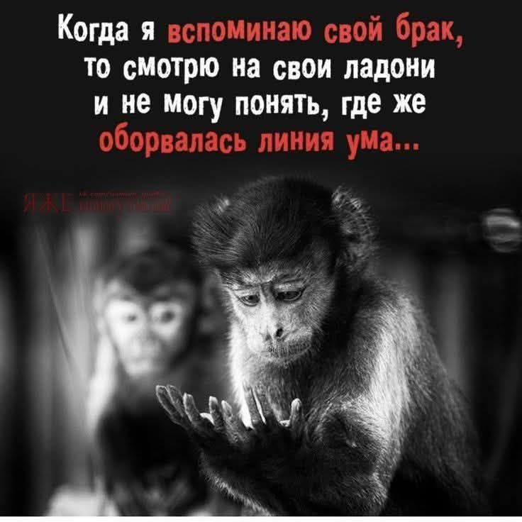 Когда я вспоминаю свой брак, то смотрю на свои ладони и не могу понять, где же оборвалась линия ума...