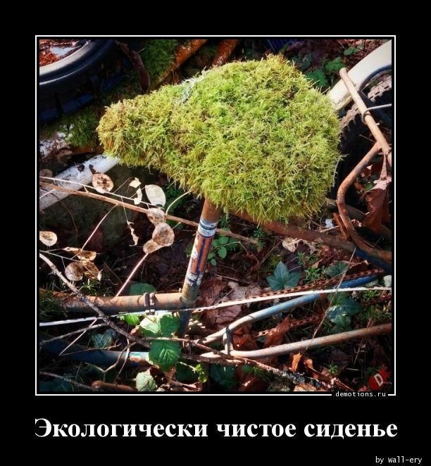Экологически чистое сиденье