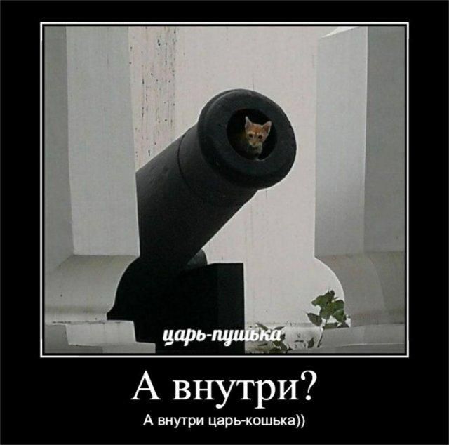 царь-пушка А внутри? А внутри царь-кошка))