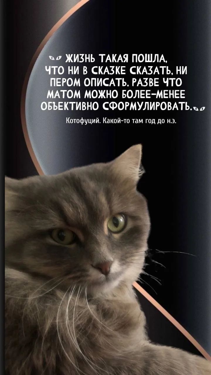 ЖИЗНЬ ТАКАЯ ПОШЛА, ЧТО НИ В СКАЗКЕ СКАЗАТЬ, НИ ПЕРОМ ОПИСАТЬ. РАЗВЕ ЧТО МАТОМ МОЖНО БОЛЕЕ-МЕНЕЕ ОБЪЕКТИВНО СФОРМУЛИРОВАТЬ. Котофуций. Какой-то там год до н.э.