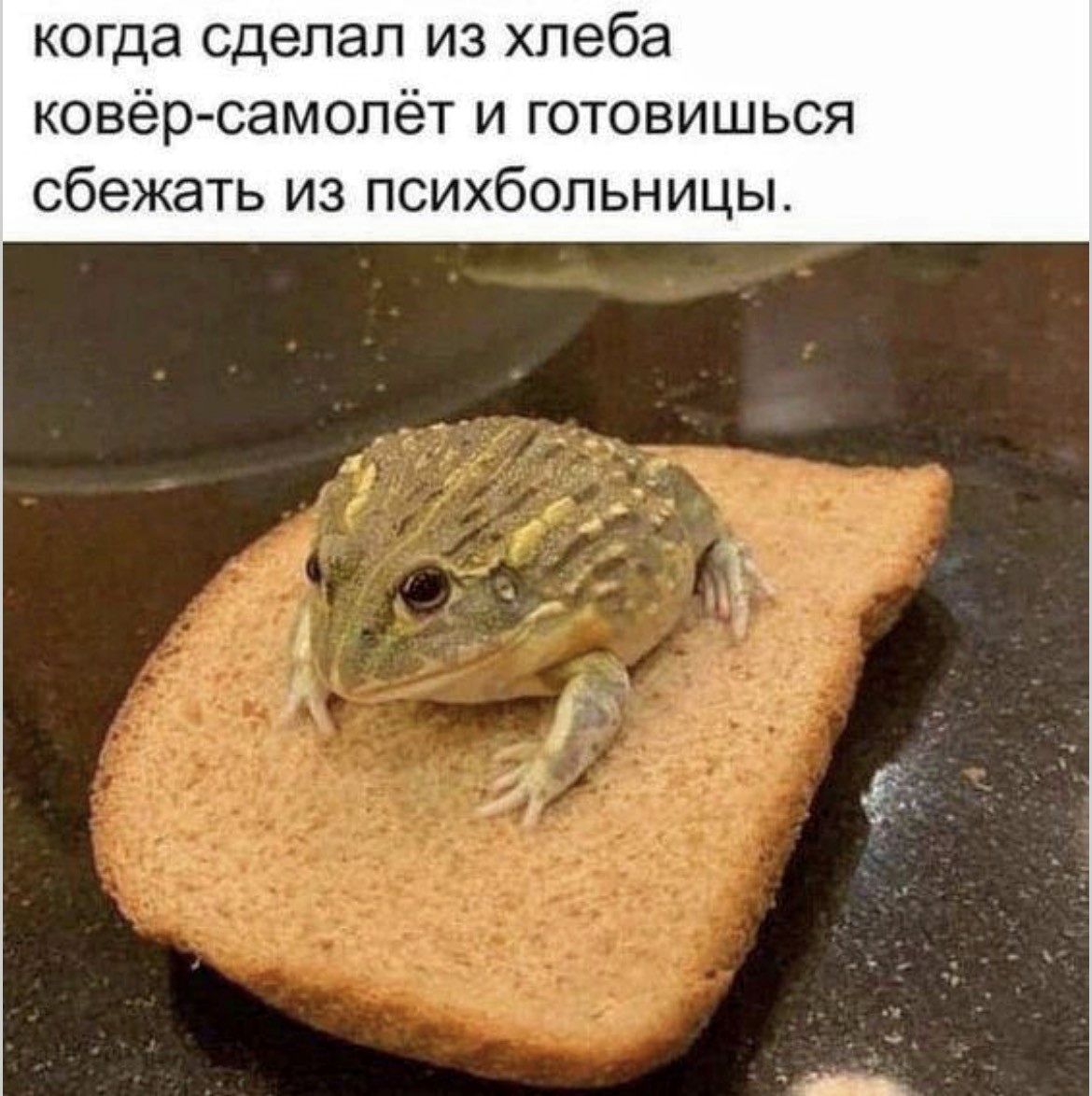 когда сделал из хлеба ковёр-самолёт и готовишься сбежать из психбольницы.