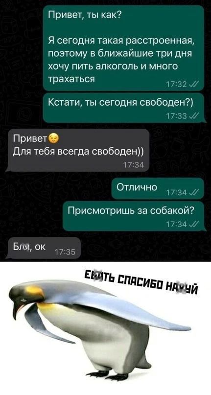Привет, ты как? Я сегодня такая расстроенная, поэтому в ближайшие три дня хочу пить алкоголь и много трахаться. Кстати, ты сегодня свободен?) Привет 🙂 Для тебя всегда свободен)) Отлично Присмотришь за собакой? Блэ, ок ЕБАТЬ СПАСИБО НАХУЙ