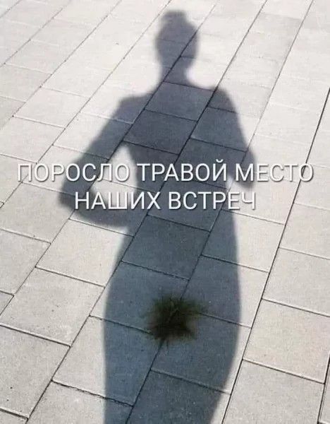 ПОРОСЛО ТРАВОЙ МЕСТО НАШИХ ВСТРЕЧ