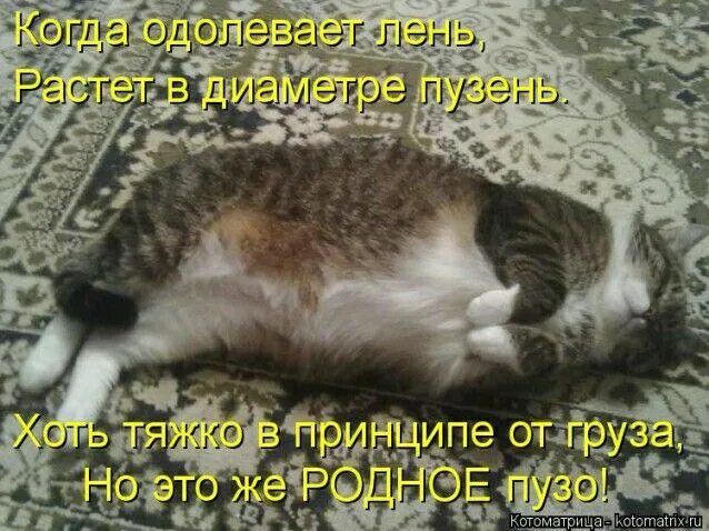 Когда одолевает лень, Растет в диаметре пузень. Хоть тяжко в принципе от груза, Но это же РОДНОЕ пузо!