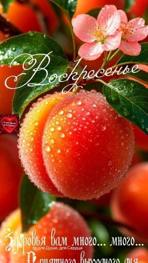 Воскресенье гр для Души, для Сердца Здоровья вам много... много... Приятного выходного дня