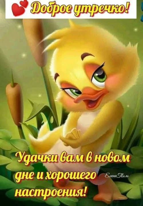 Доброе утречко! Удачки вам в новом дне и хорошего настроения! Елена Мала
