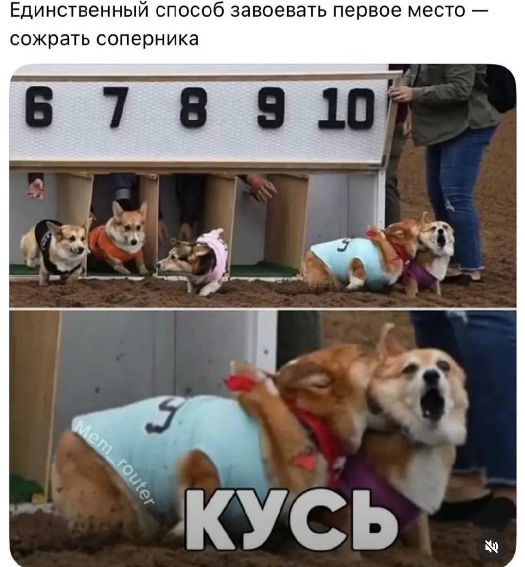 Единственный способ завоевать первое место — сожрать соперника. КУСЬ