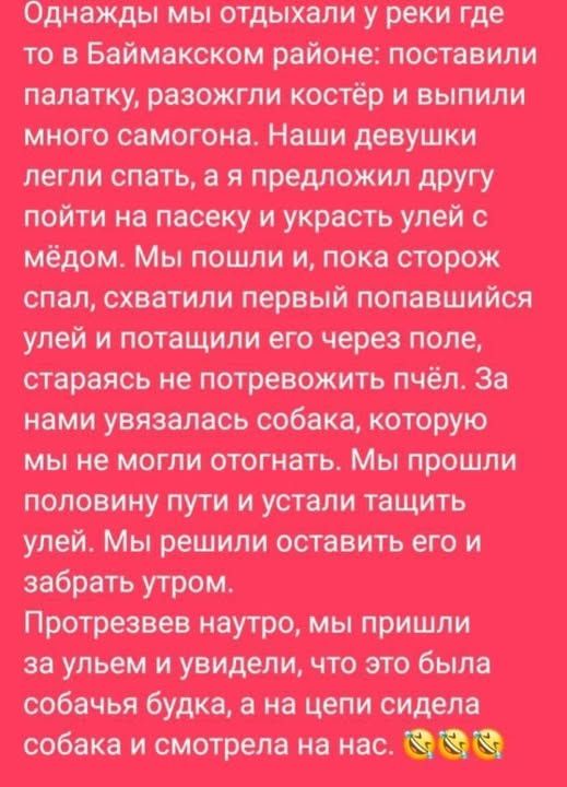 Однажды мы отдыхали у реки где то в Баймакском районе: поставили палатку, разожгли костёр и выпили много самогона. Наши девушки легли спать, а я предложил другу пойти на пасеку и украсть улей с мёдом. Мы пошли и, пока сторож спал, схватили первый попавшийся улей и потащили его через поле, стараясь не потревожить пчёл. За нами увязалась собака,