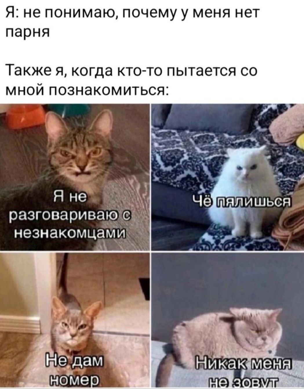Я: не понимаю, почему у меня нет парня. Также я, когда кто-то пытается со мной познакомиться: Я не разговариваю с незнакомцами. Чё пялишься. Не дам номер. Никак меня не зовут.