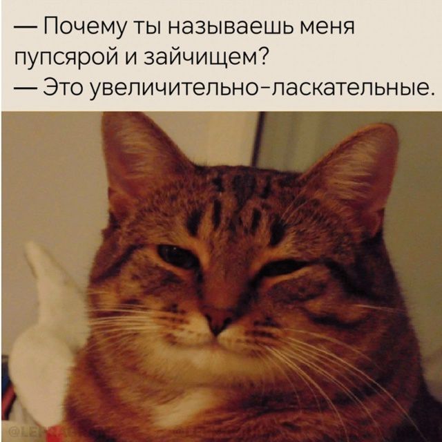 Почему ты называешь меня пупсярой и зайчищем? — Это увеличительно-ласкательные.