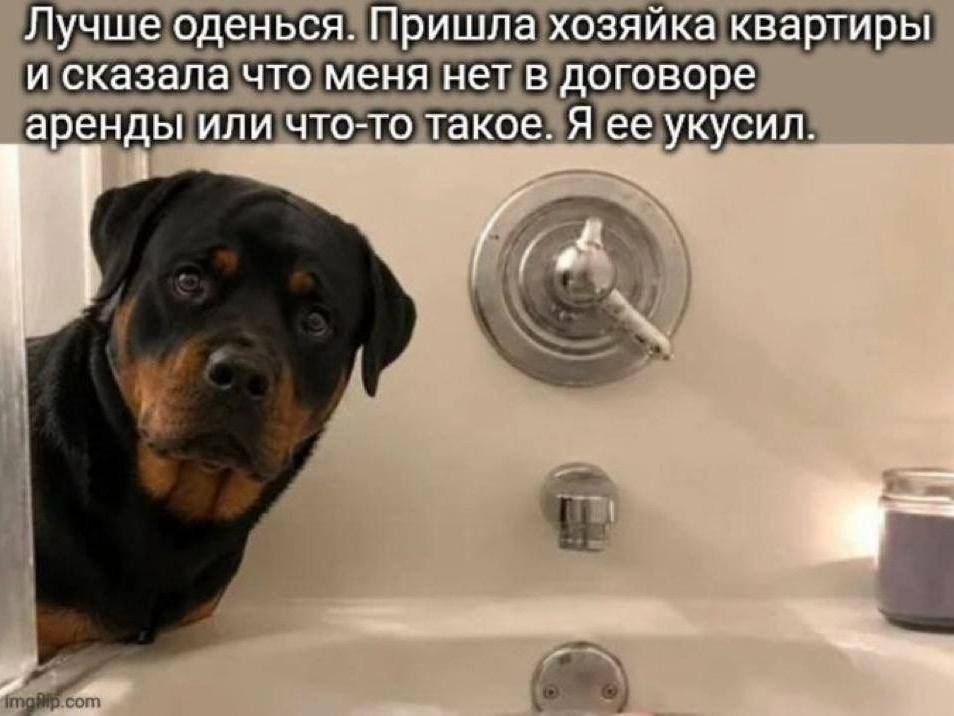 Лучше оденься. Пришла хозяйка квартиры и сказала что меня нет в договоре аренды или что-то такое. Я ее укусил.