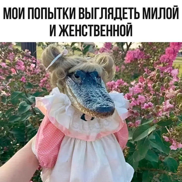 МОИ ПОПЫТКИ ВЫГЛЯДЕТЬ МИЛОЙ И ЖЕНСТВЕННОЙ