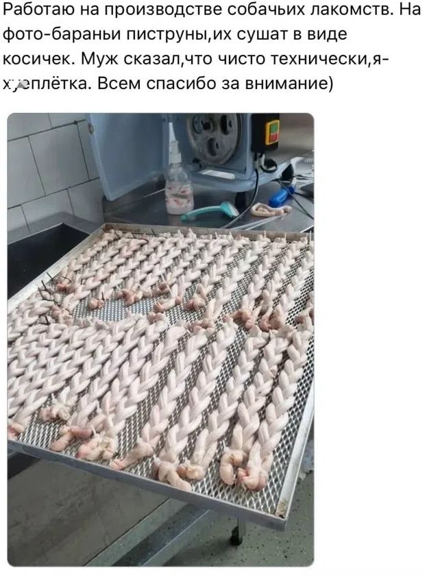 Работаю на производстве собачьих лакомств. На фото - бараньи пиструны, их сушат в виде косичек. Муж сказал, что чисто технически, я - х..оплётка. Всем спасибо за внимание!