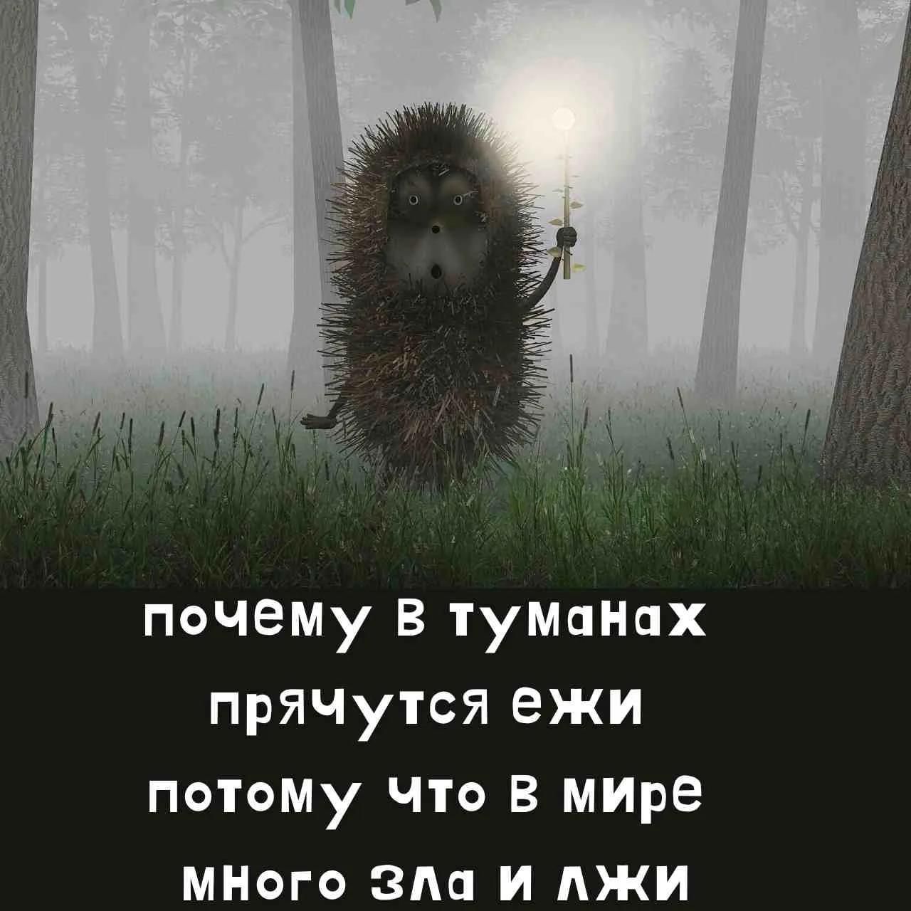 почему в туманах прячутся ежи потому что в мире много зла и лжи