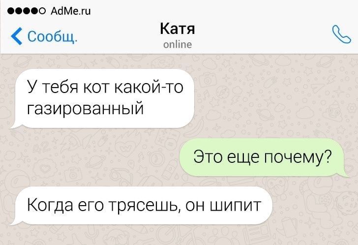 AdMe.ru Катя Сообщ. online У тебя кот какой-то газированный Это еще почему? Когда его трясешь, он шипит