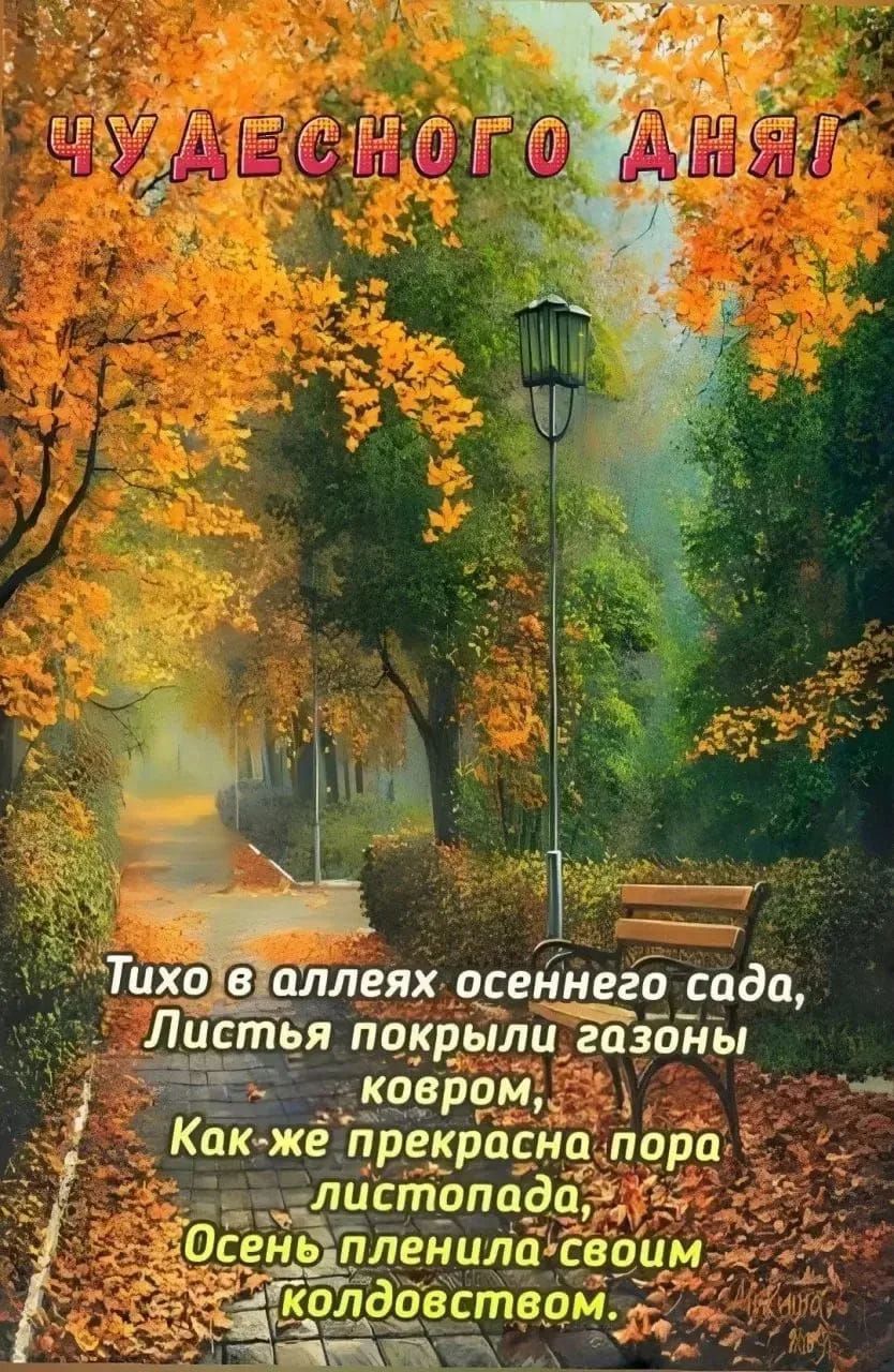 ЧУДЕСНОГО ДНЯ! Тихо в аллеях осеннего сада, Листья покрыли газоны ковром, Как-же прекрасна пора листопада, Осень пленила своим колдовством.