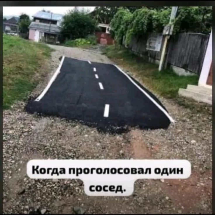 Когда проголосовал один сосед.