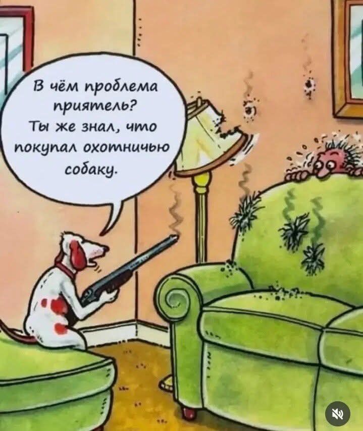 В чём проблема приятель? Ты же знал, что покупал охотничью собаку.