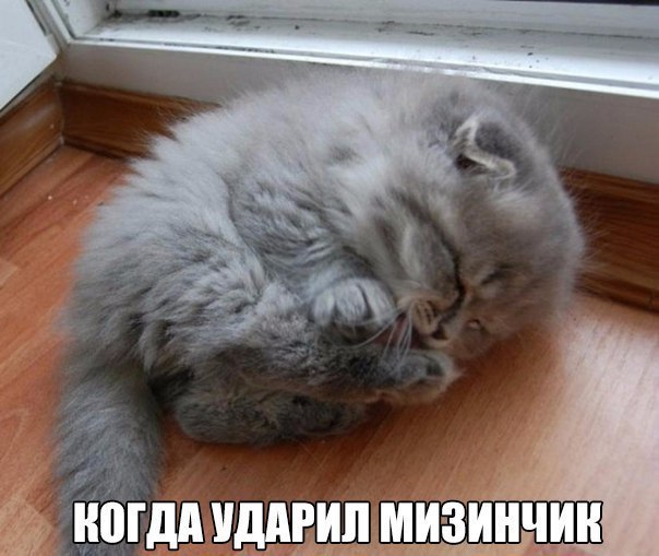 кОГДАУДАРИЛ МИЗИНЧИК