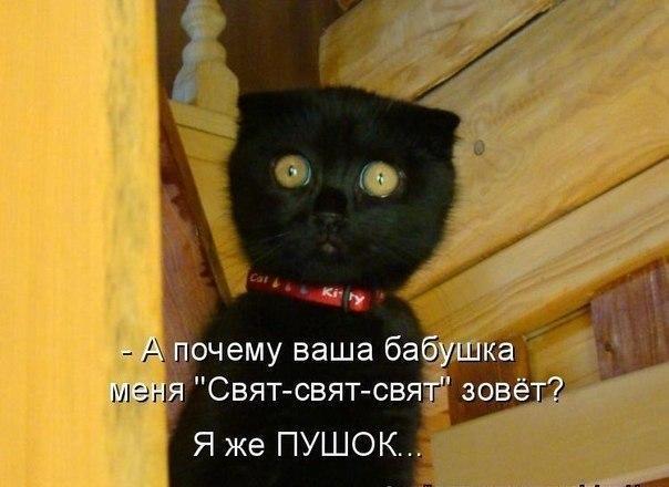 Т бушикс Свят свят свят зов Я же ПУШОК
