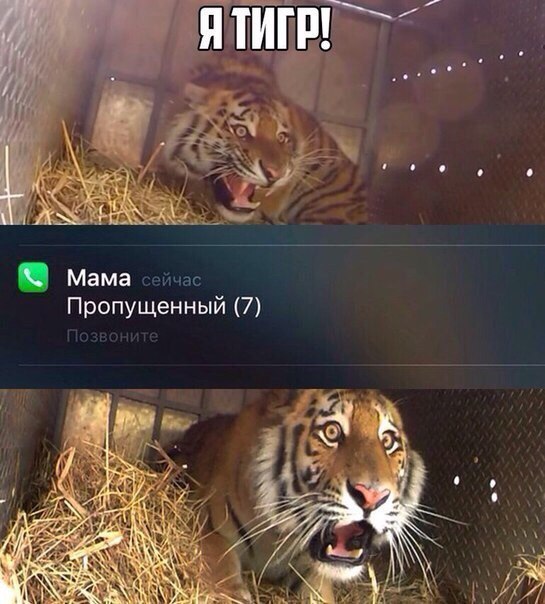 йчас Пропущенный 7 мама