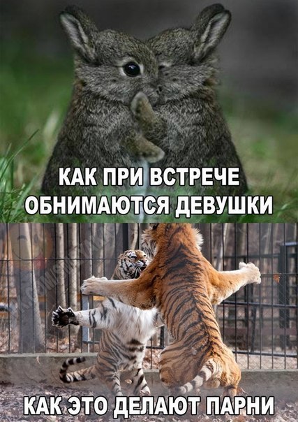 в 40 КАК ПРИВВСТРЕЧЕ ОБНИМА СЯ ДЕВУШКИ МН 2