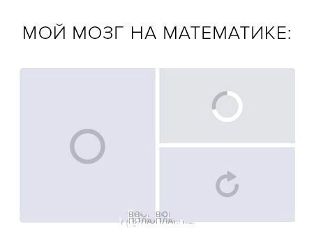 МОЙ МОЗГ НА МАТЕМАТИКЕ