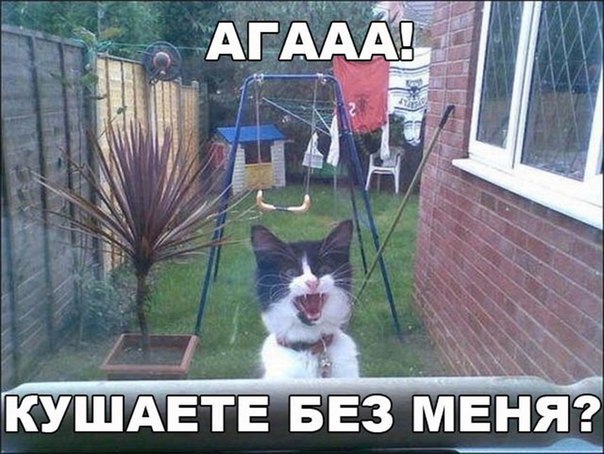 КУШАЕТЕ БЕЗ МЕНЯ