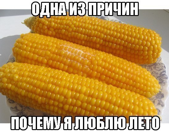 ТАИТ ДЕ ЭЛВИН Й