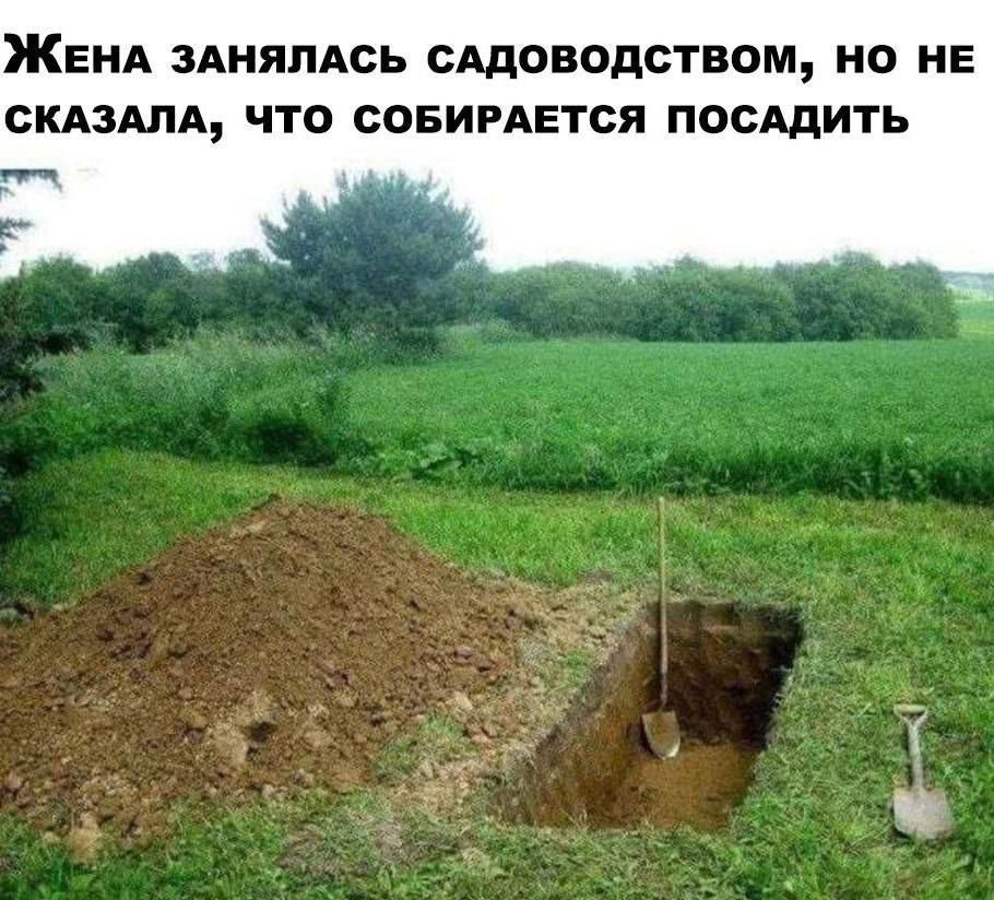 Жена занялась садоводством, но не сказала, что собирается посадить
