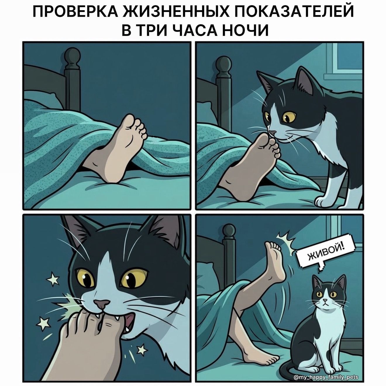 ПРОВЕРКА ЖИЗНЕННЫХ ПОКАЗАТЕЛЕЙ В ТРИ ЧАСА НОЧИ ЖИВОЙ!