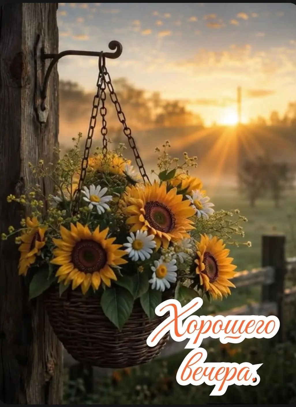 Хорошего вечера