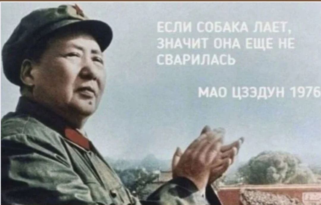 ЕСЛИ СОБАКА ЛАЕТ, ЗНАЧИТ ОНА ЕЩЕ НЕ СВАРИЛАСЬ МАО ЦЗЭДУН 1976