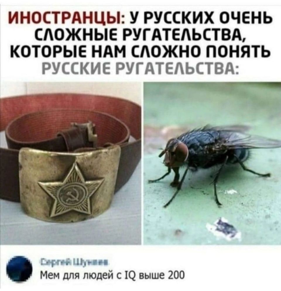 Иностранцы: у русских очень сложные ругательства, которые нам сложно понять. Русские ругательства: ремень с бляхой и муха. Мем для людей с IQ выше 200