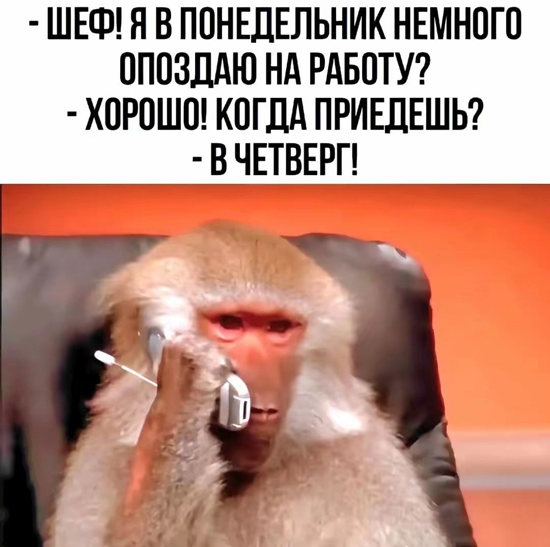 - ШЕФ! Я В ПОНЕДЕЛЬНИК НЕМНОГО ОПОЗДАЮ НА РАБОТУ?
- ХОРОШО! КОГДА ПРИЕДЕШЬ?
- В ЧЕТВЕРГ!