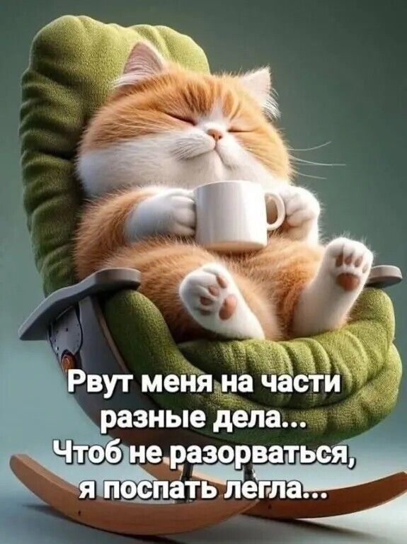 Рвут меня на части разные дела... Чтоб не разорваться, я поспать легла...