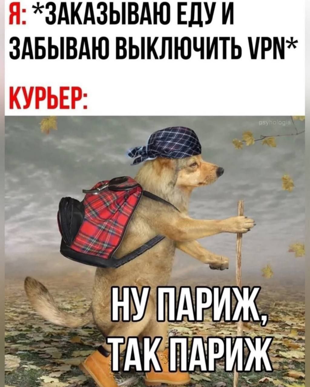 Я: *ЗАКАЗЫВАЮ ЕДУ И ЗАБЫВАЮ ВЫКЛЮЧИТЬ VPN* КУРЬЕР: НУ ПАРИЖ, ТАК ПАРИЖ