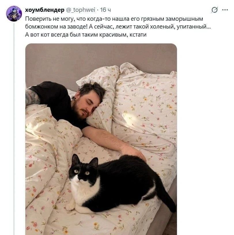 Поверить не могу, что когда-то нашла его грязным заморышным бомжонком на заводе! А сейчас, лежит такой холеный, упитанный... А вот кот всегда был таким красивым, кстати