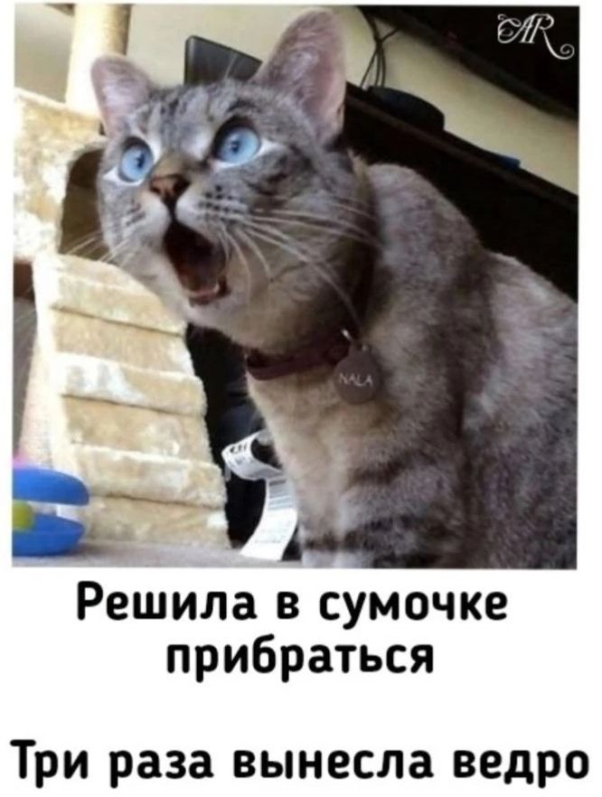 Решила в сумочке прибраться. Три раза вынесла ведро.