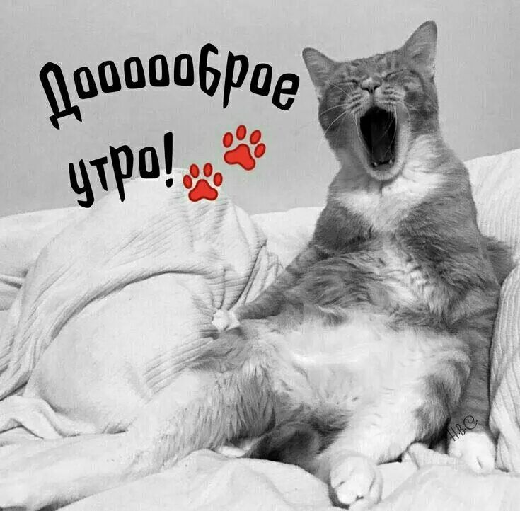 Дооооброе утро!