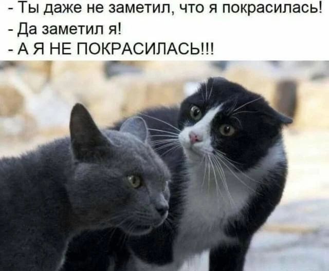 - Ты даже не заметил, что я покрасилась!
- Да заметил я!
- А Я НЕ ПОКРАСИЛАСЬ!!!