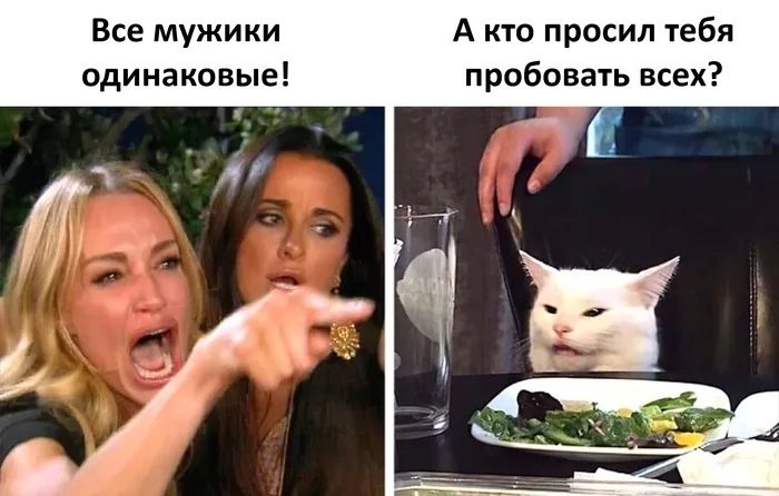 Все мужики одинаковые! А кто просил тебя пробовать всех?