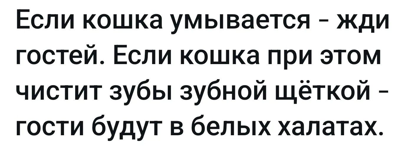 Если кошка умывается – жди гостей. Если кошка при этом чистит зубы зубной щеткой – гости будут в белых халатах.