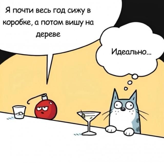 Я почти весь год сижу в коробке, а потом вишу на дереве. Идеально...