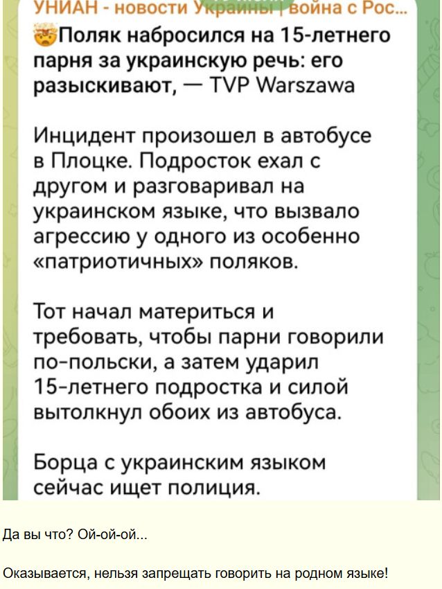 УНИАН - новости Украины | война с Рос... Поляк набросился на 15-летнего парня за украинскую речь: его разыскивают, — TVP Warszawa Инцидент произошел в автобусе в Плоцке. Подросток ехал с другом и разговаривал на украинском языке, что вызвало агрессию у одного из особенно «патриотичных» поляков. Тот начал материться и требовать, чтобы парни