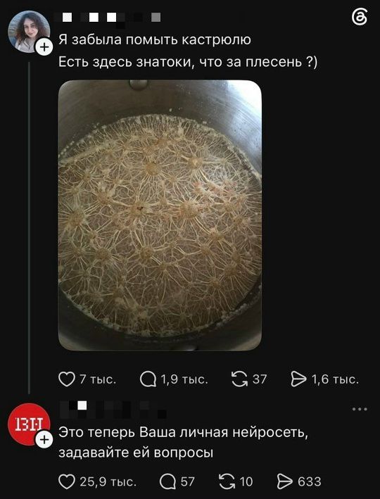 Я забыла помыть кастрюлю. Есть здесь знатоки, что за плесень ?)
Это теперь Ваша личная нейросеть, задавайте ей вопросы