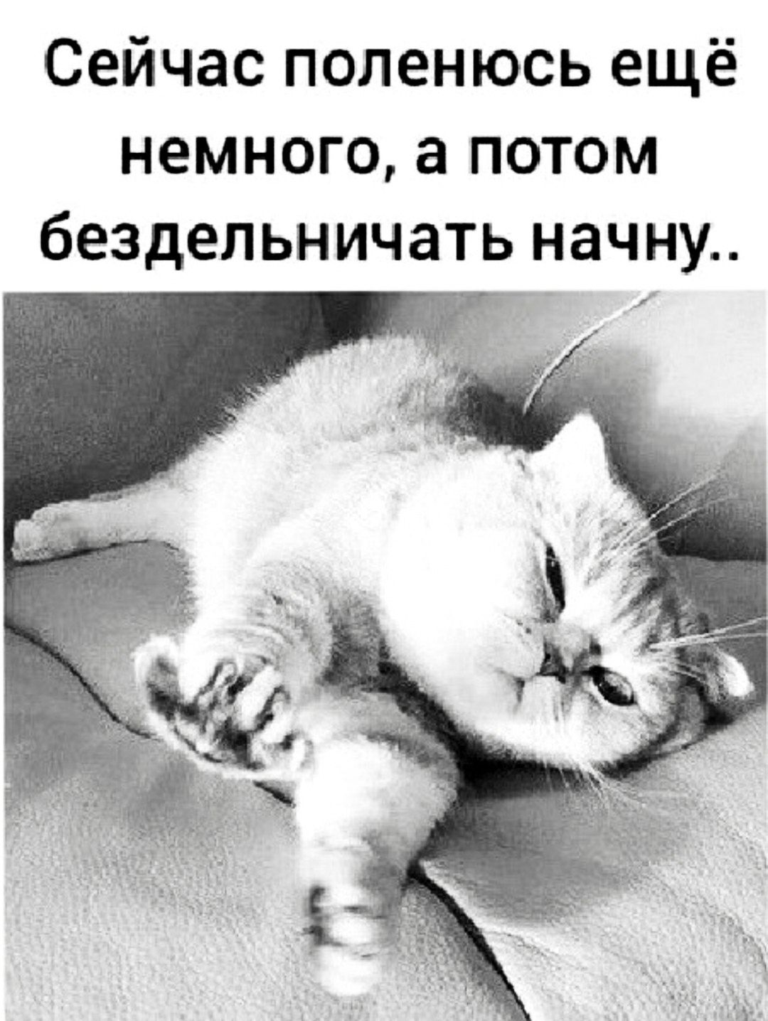 Сейчас поленюсь ещё немного, а потом бездельничать начну..
