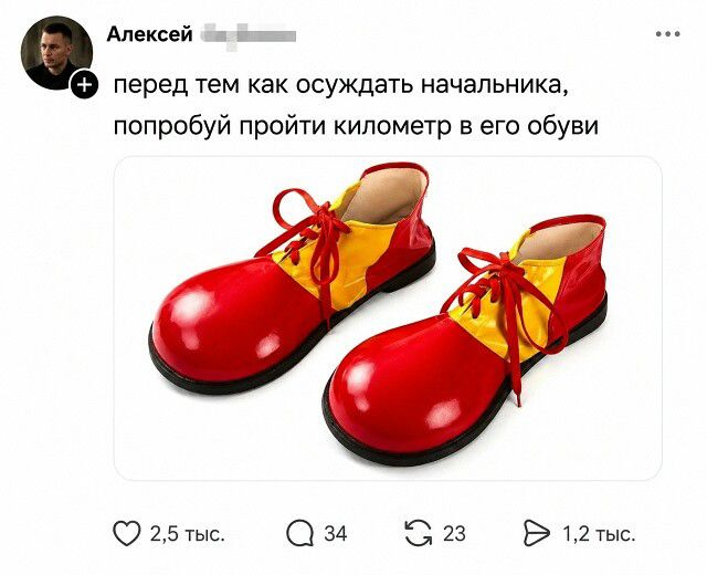 перед тем как осуждать начальника, попробуй пройти километр в его обуви