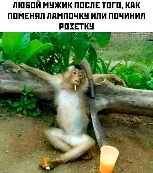 ЛЮБОЙ МУЖИК ПОСЛЕ ТОГО, КАК ПОМЕНЯЛ ЛАМПОЧКУ ИЛИ ПОЧИНИЛ РОЗЕТКУ