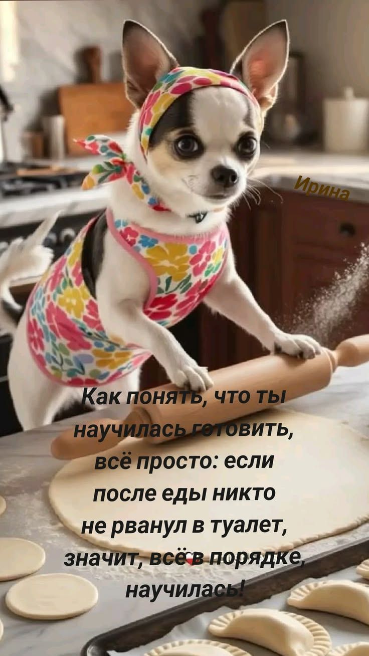 Ирина Как понять, что ты научилась готовить, всё просто: если после еды никто не рванул в туалет, значит, всё в порядке, научилась!
